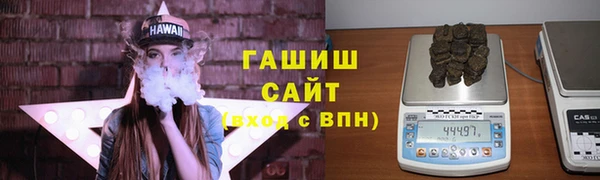 гидра Абаза