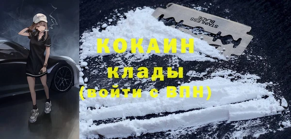 гидра Абаза