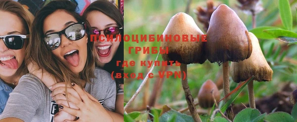 гидра Абаза