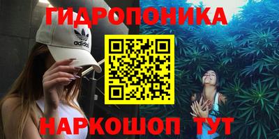 прущие грибы Рыбинск