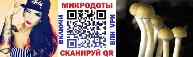 где найти   Ялта  Псилоцибиновые грибы Cubensis 