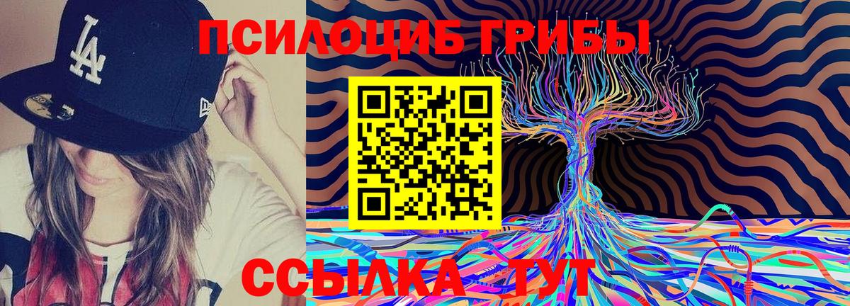 Галлюциногенные грибы MAGIC MUSHROOMS  Псилоцибиновые грибы прущие грибы  Ялта  цена   Вход с VPN 