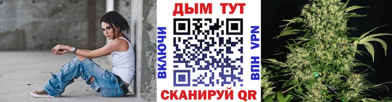 Каннабис план  где купить   мега сайт  Ялта 